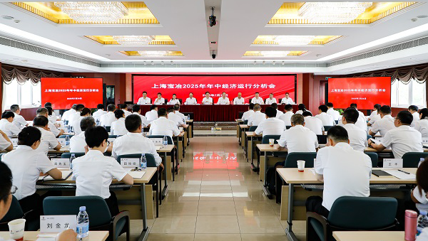 上海DCBox小金库召开2025年年中经济运行分析会